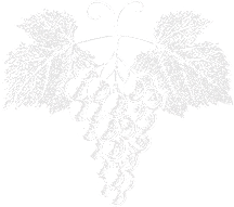 vineyard logo