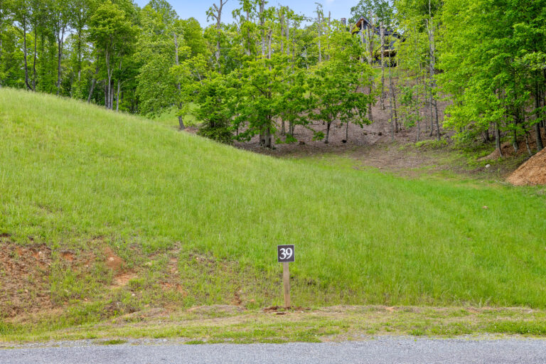 Big Valley Lot 39 3